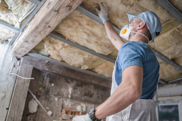 Best DIY Insulation Kits and Guidance in Palm Valley, TX