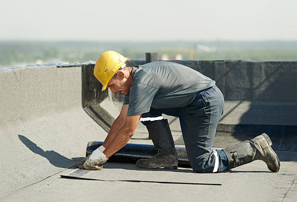 Trusted Palm Valley, TX Insulation Contractor Experts