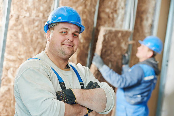 Best Residential Insulation in Palm Valley, TX