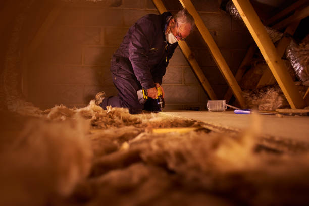 Best Insulation Maintenance and Repair in Palm Valley, TX
