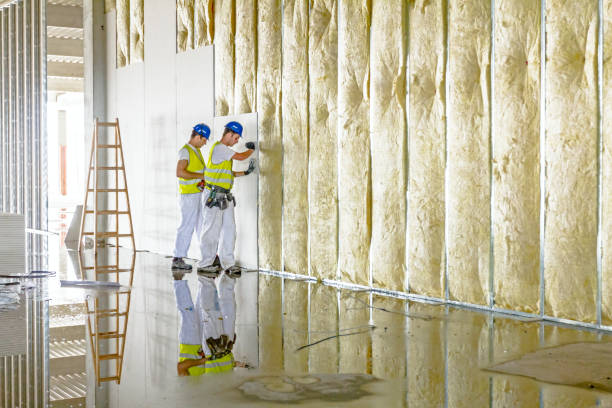 Best Cellulose Insulation in Palm Valley, TX